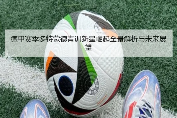 德甲赛季多特蒙德青训新星崛起全景解析与未来展望